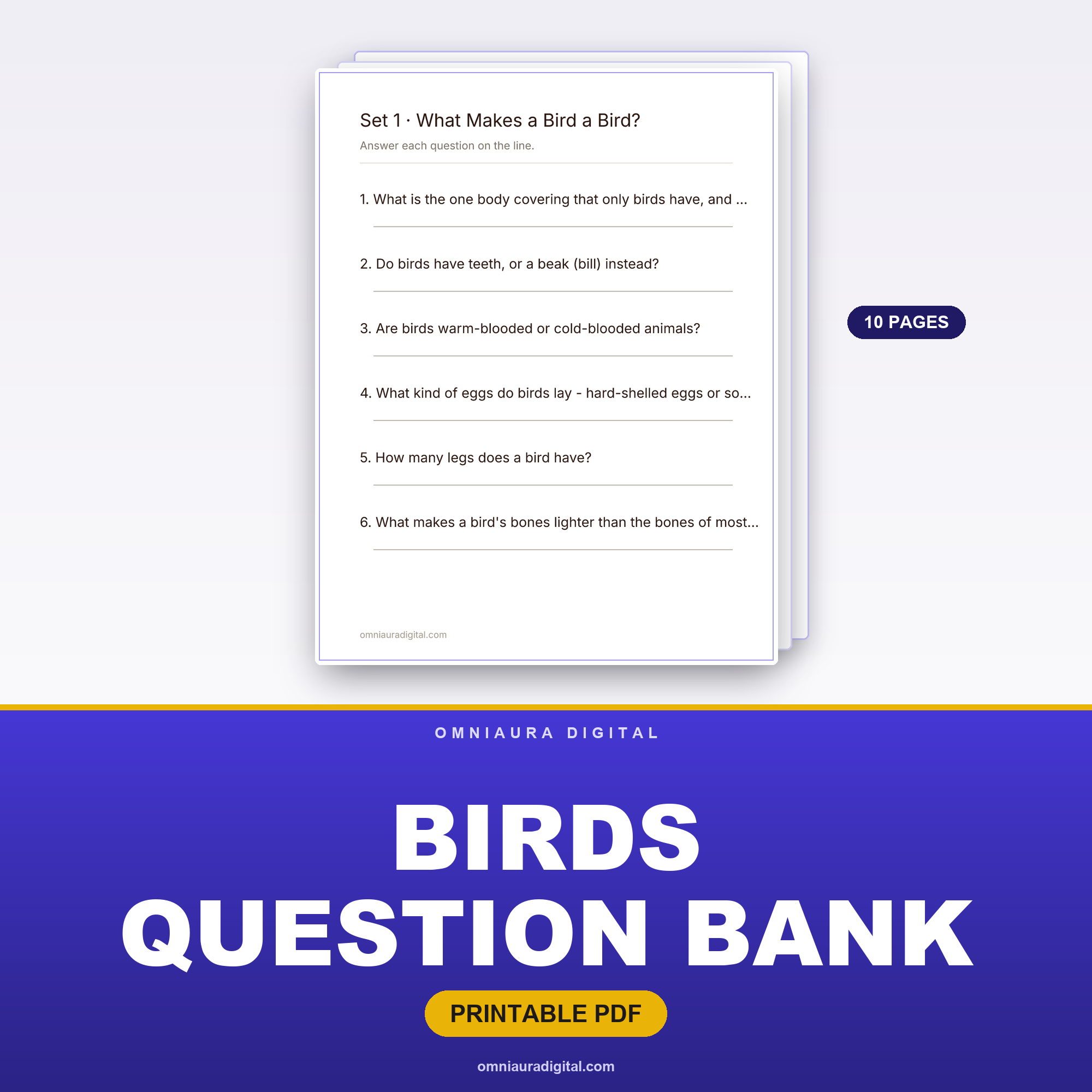 Birds Question Bank — 60 Practice Questions (Grades 2-5)