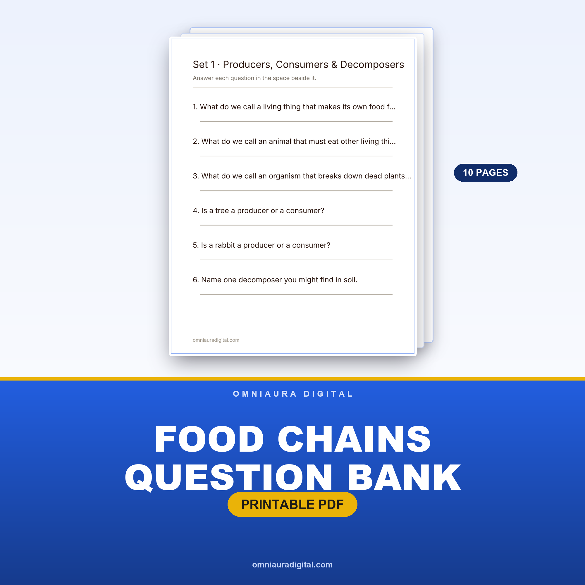 Food Chains Question Bank — 60 Practice Questions (Grades 3-5)