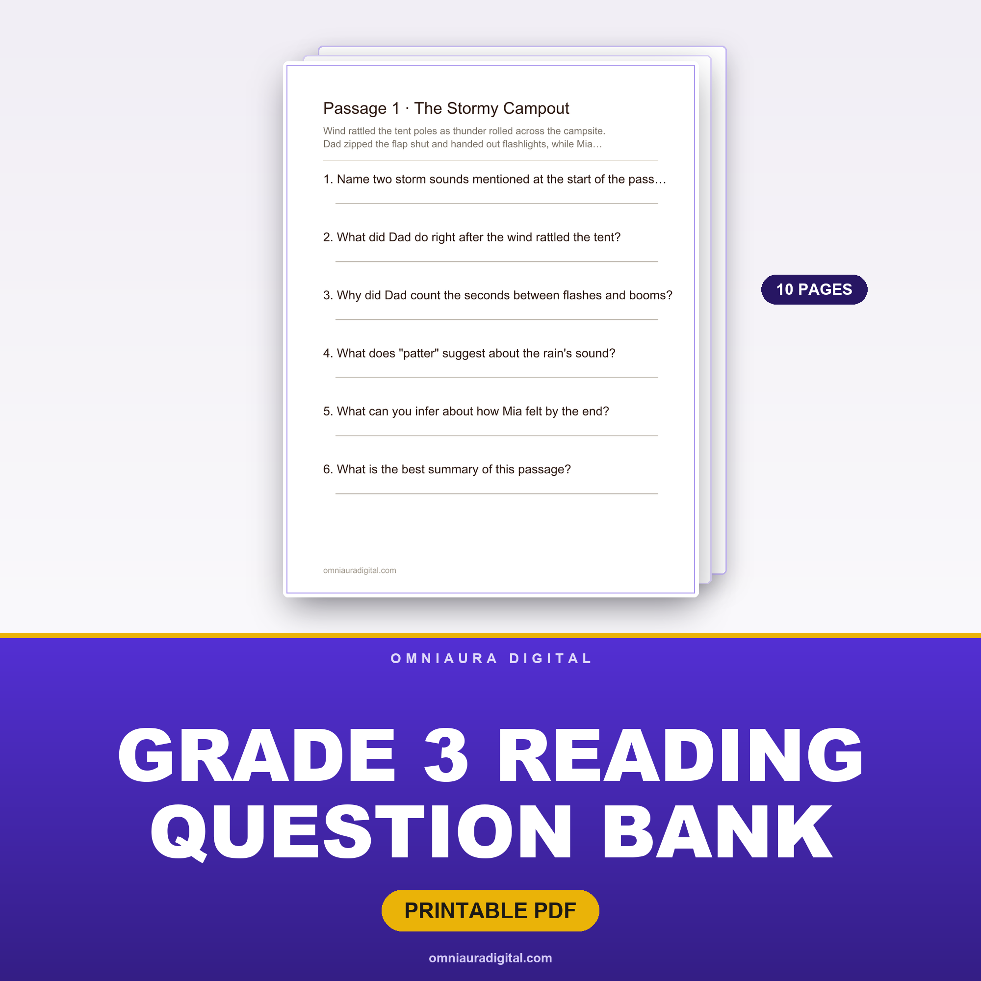 Grade 3 Reading Question Bank — 8 Passages, 48 Questions