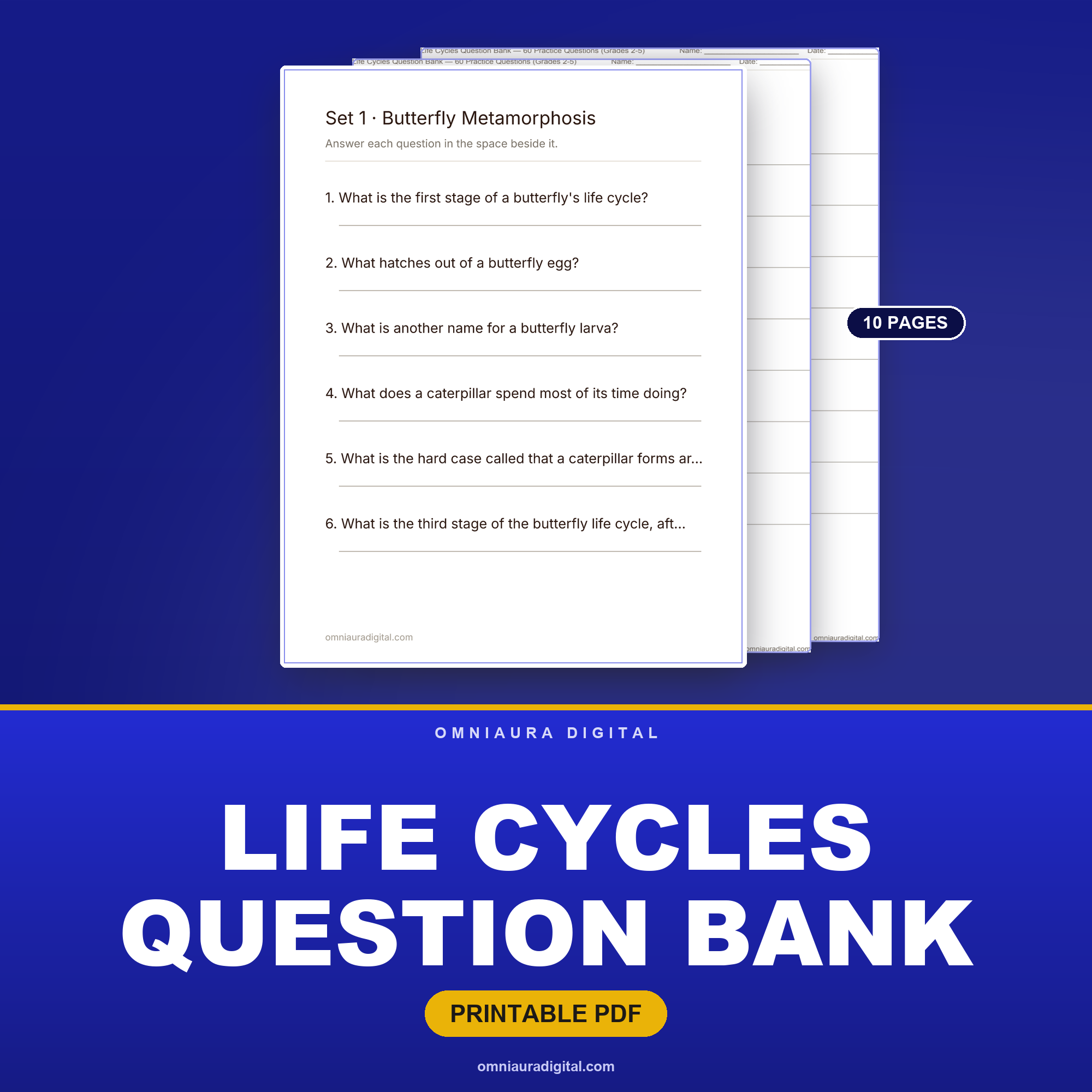 Life Cycles Question Bank — 60 Practice Questions (Grades 2-5)