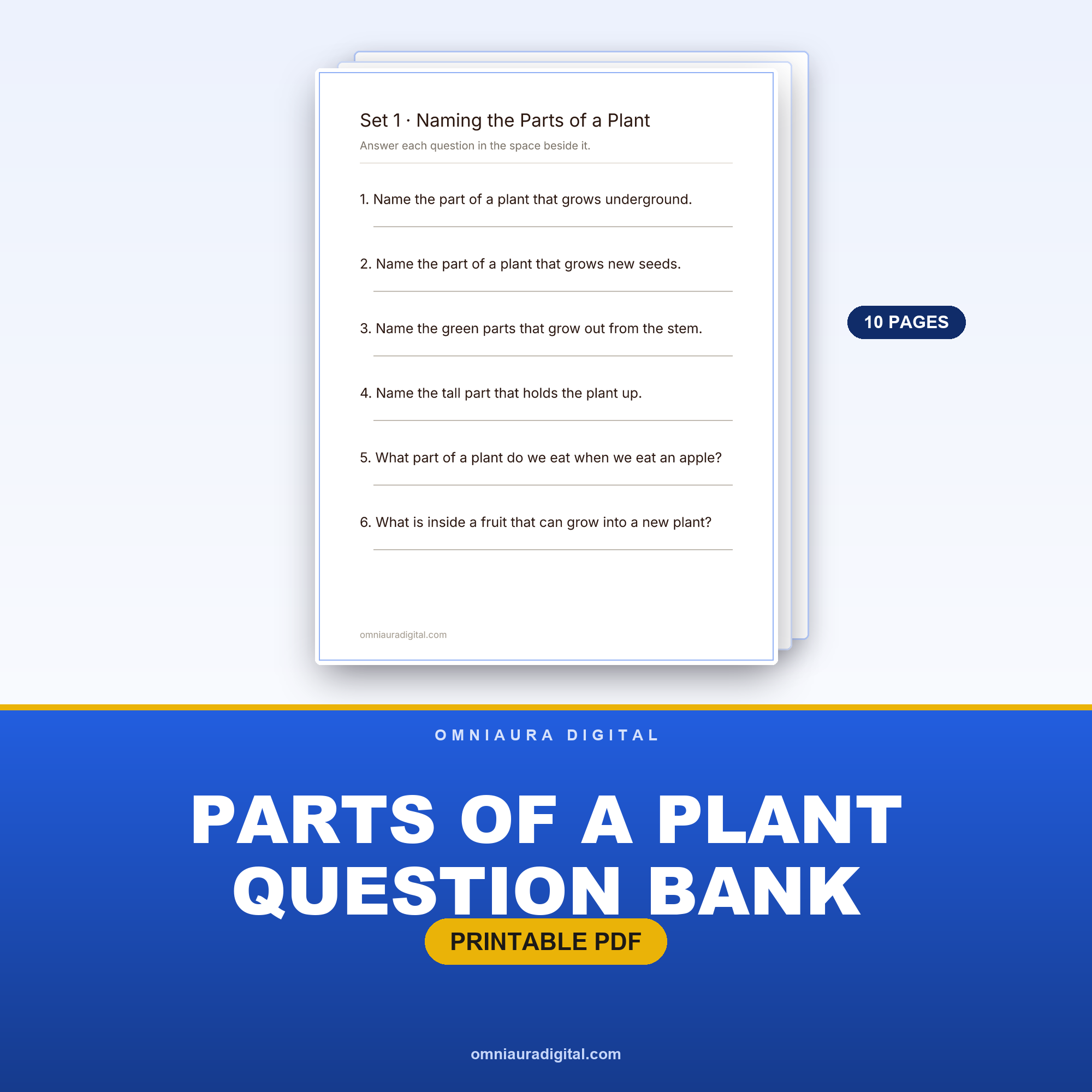 Parts of a Plant Question Bank — 60 Practice Questions (Grades 1-4)