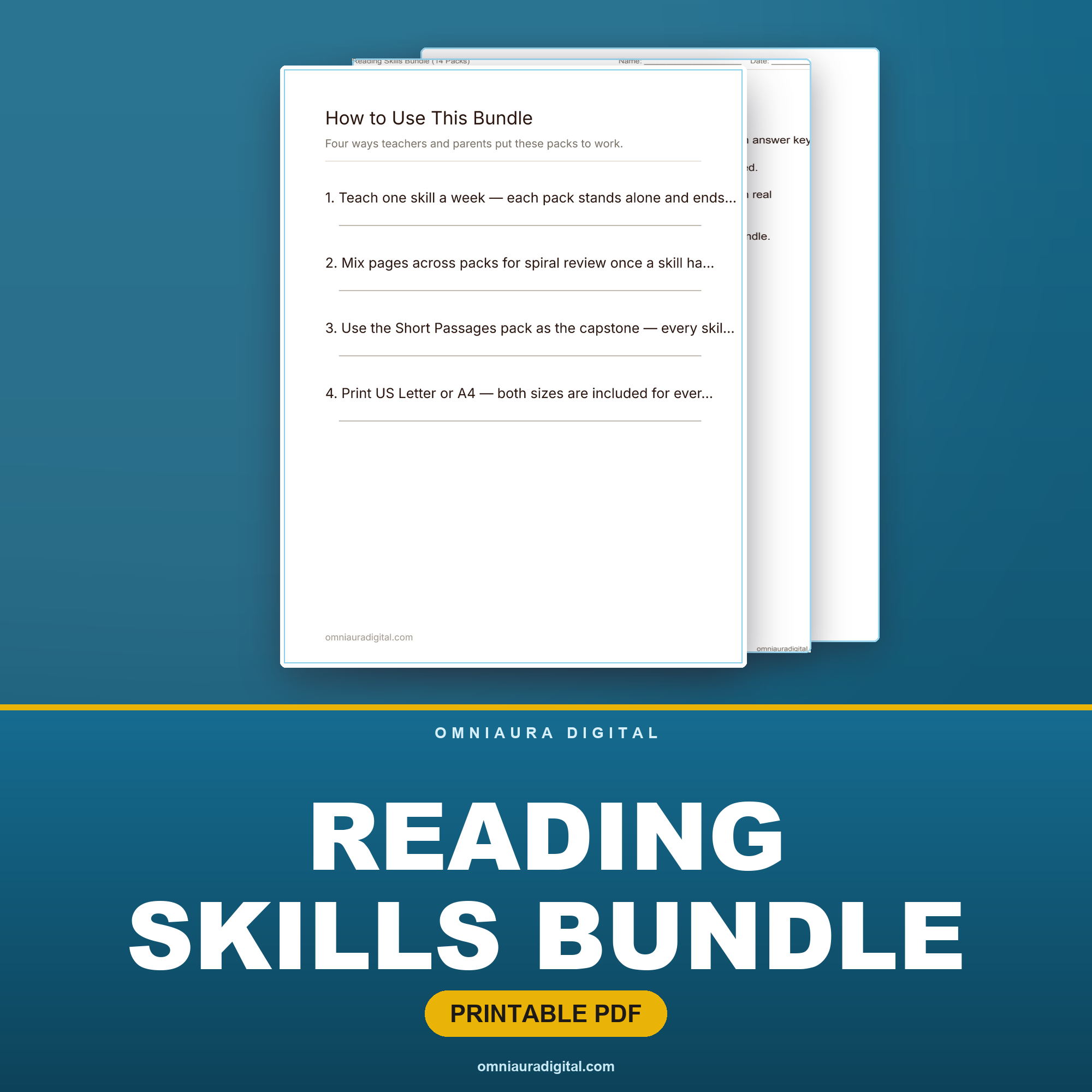 Reading Skills Bundle — 17 Comprehension Packs, Grades 2-3